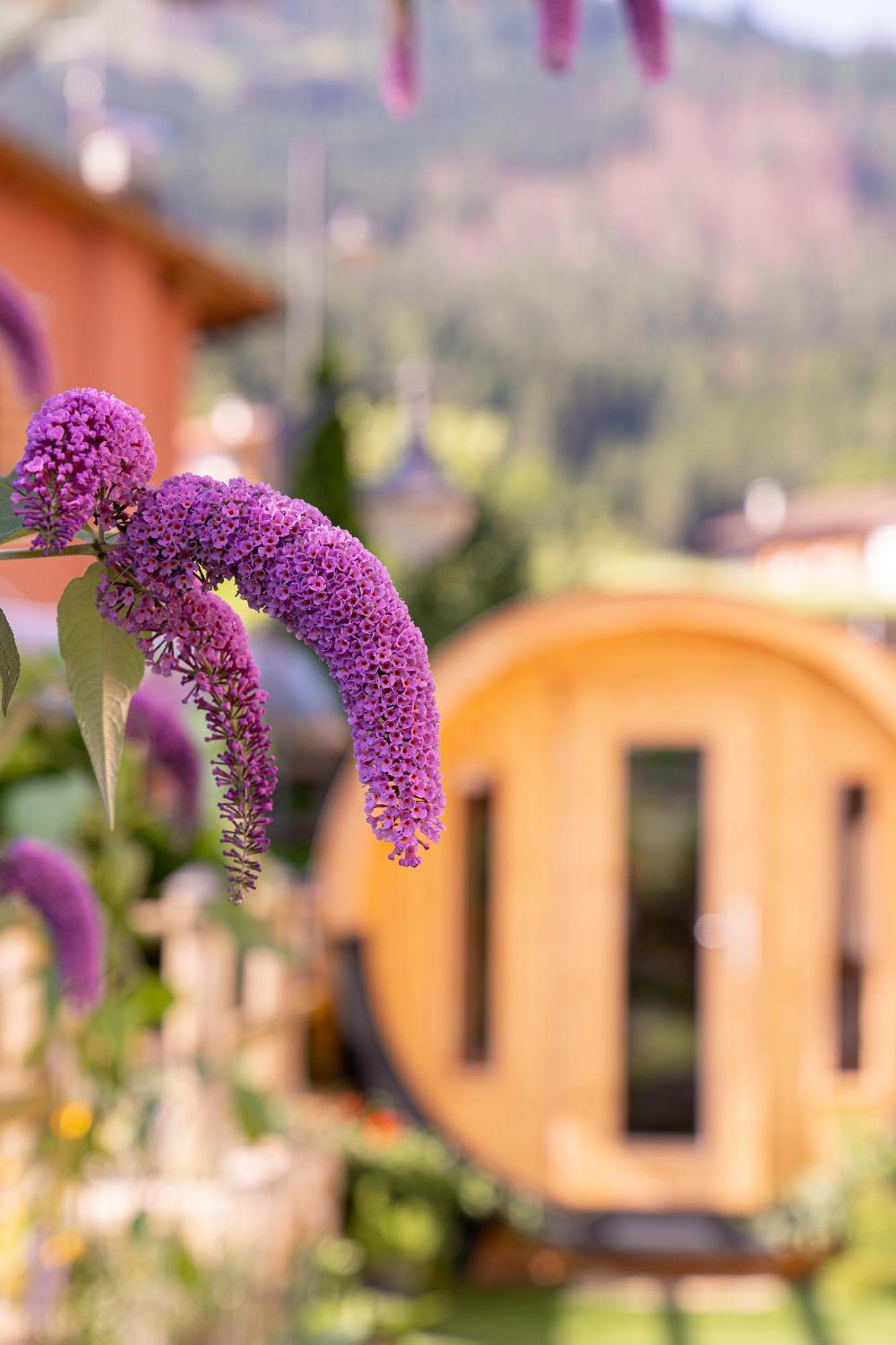 Albergo Negritella Ziano Di Fiemme Exterior photo